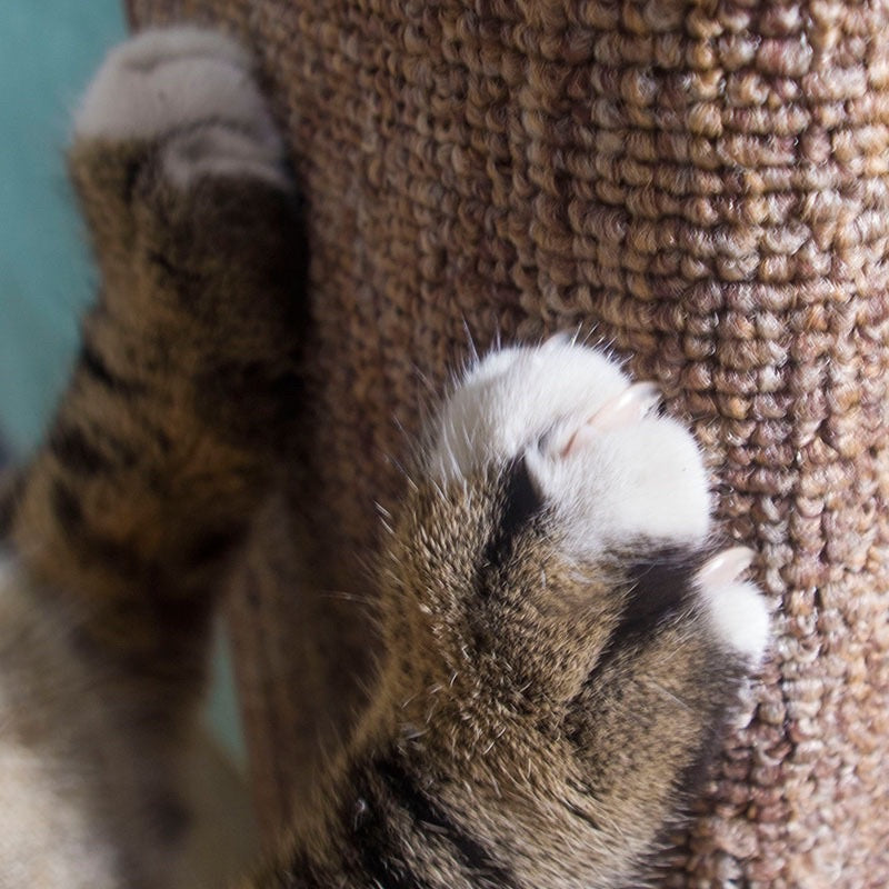 Wakupet standing cat scratch post for sofa corner protection Sisal Scratcher