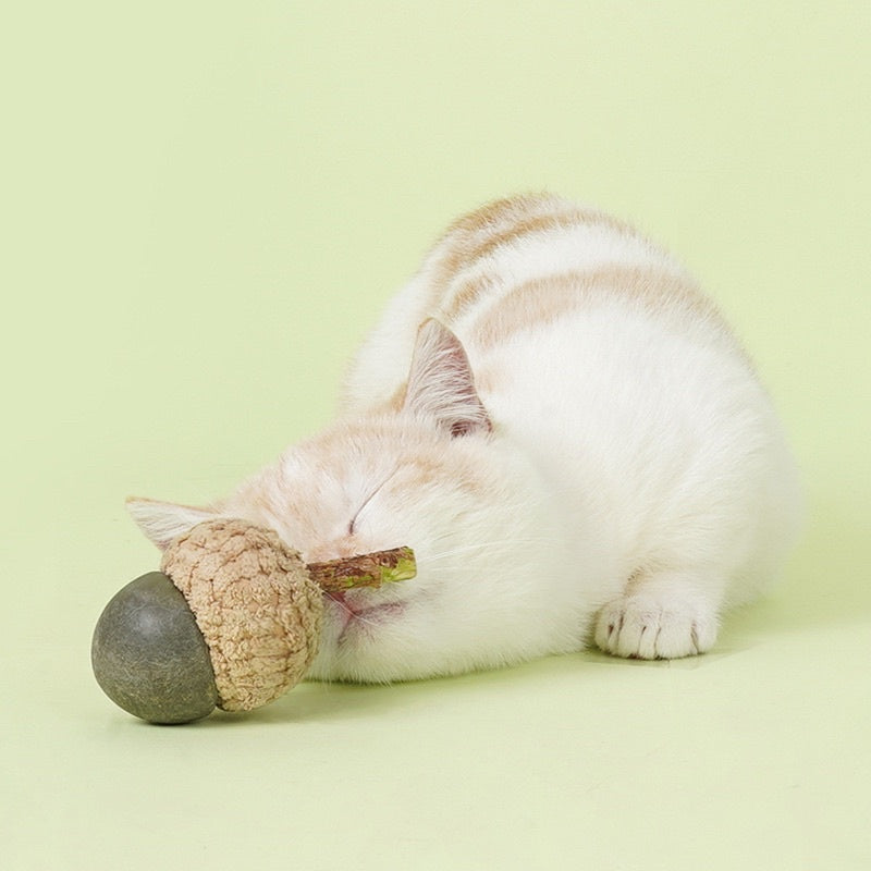 Zeze cat catnip bitting toy chaser Acorn