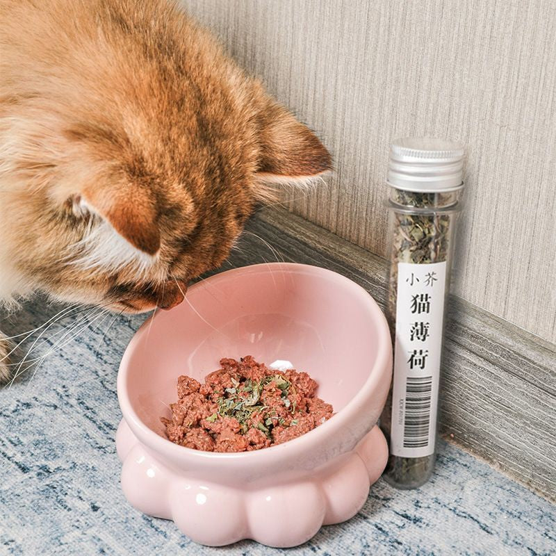 [SG Stock] Catnip lollipop cat candy snack pet food eatable toy teeth cleaner bar treat