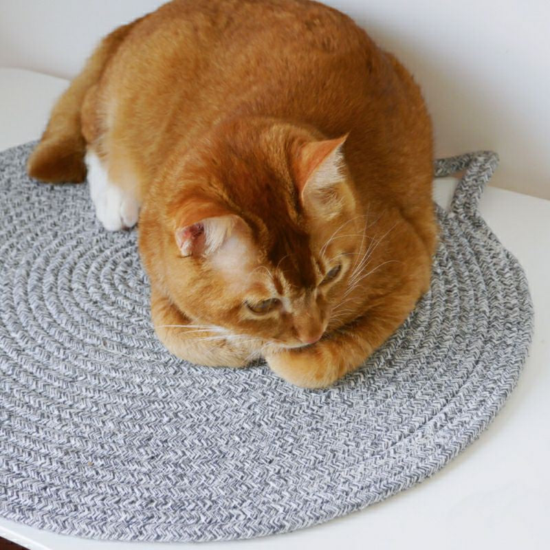 [SG Stock] Cat Scratch pad toy sleeping Bed Kitten Scratcher Board dog