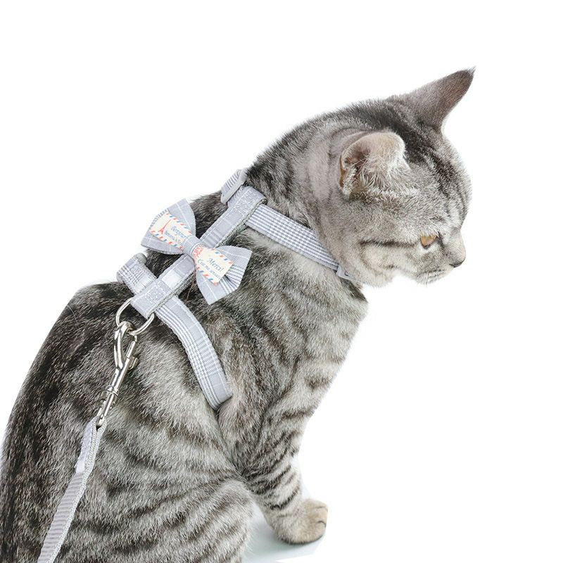 [SG Stock] Pet Dog Cat Leash Rope Walking Running ready stock