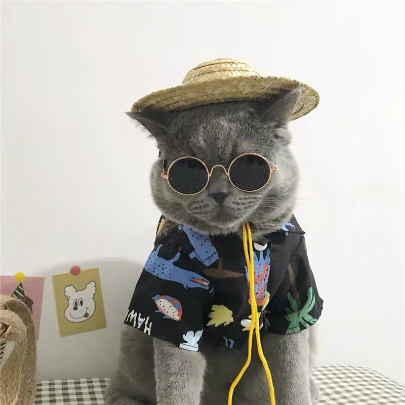 [SG Stock] Cat photo shooting props glasses 👓 fun toy