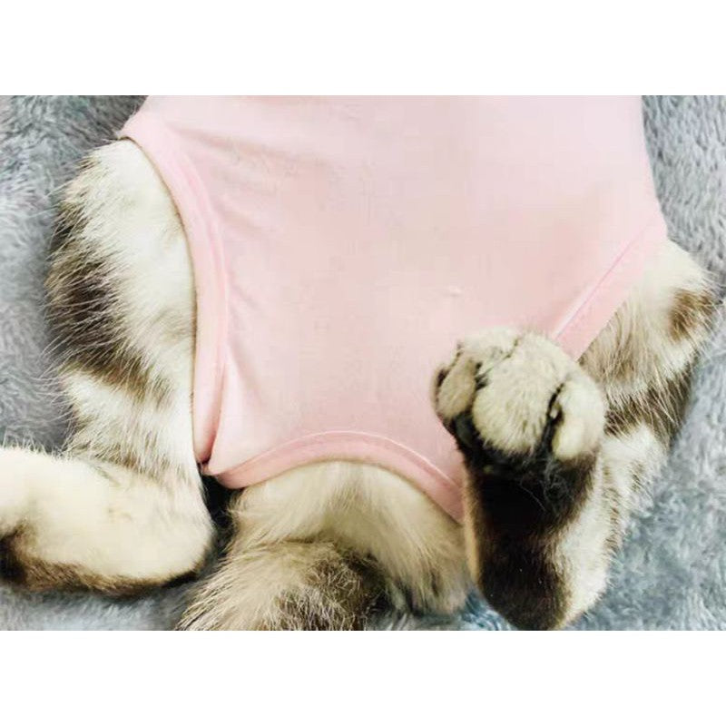 [SG] Pet Cat surgery suit cloth for recovery from sterilization skin issue prevent licking