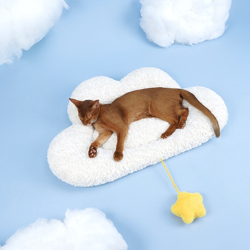 Zeze cloud ☁️ and star ⭐️ cat bed sleeping pad