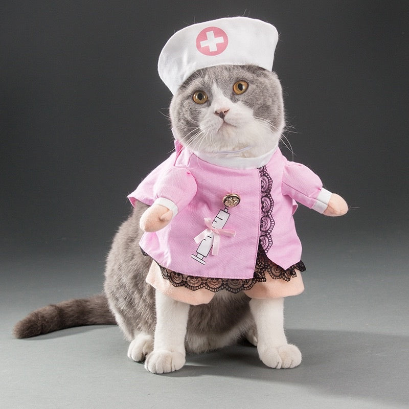 [SG Stock] Pet Halloween 👻 costume cat dog cute cloth photo shoots accessories
