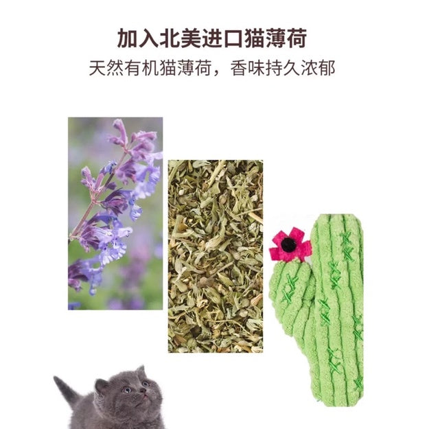 [SG Stock] FOFOS cat teaser stick catnip value pack 5 pieces pet toy