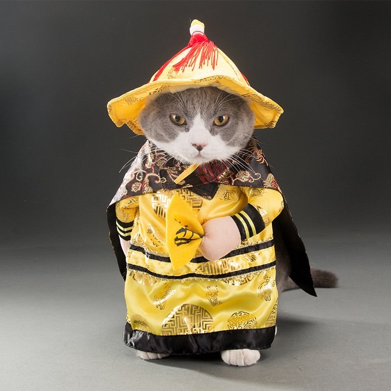 [SG Stock] Pet Halloween 👻 costume cat dog cute cloth photo shoots accessories