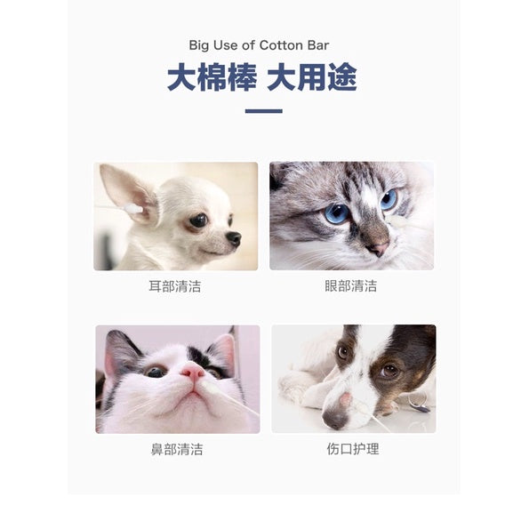 [SG Stock] Kojima Pet cotton swab ear nose cleaning 55 pc box