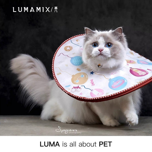 LumaMix light weight cat collar Elizabeth cone pet necklace