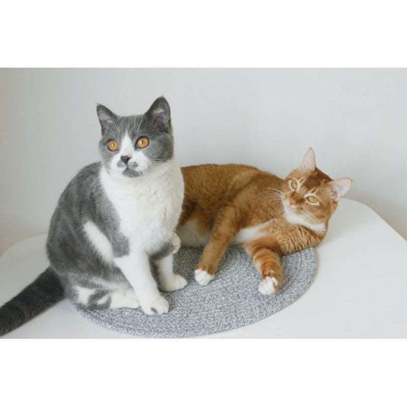 [SG Stock] Cat Scratch pad toy sleeping Bed Kitten Scratcher Board dog