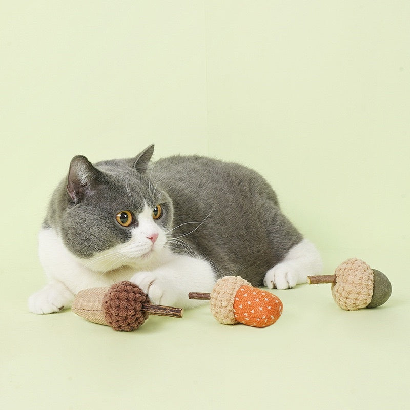 Zeze cat catnip bitting toy chaser Acorn