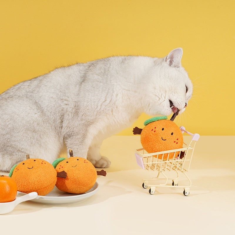 Zeze fruit 🍎  cat toys with catnip apple orange 🍊 chasing pet toy