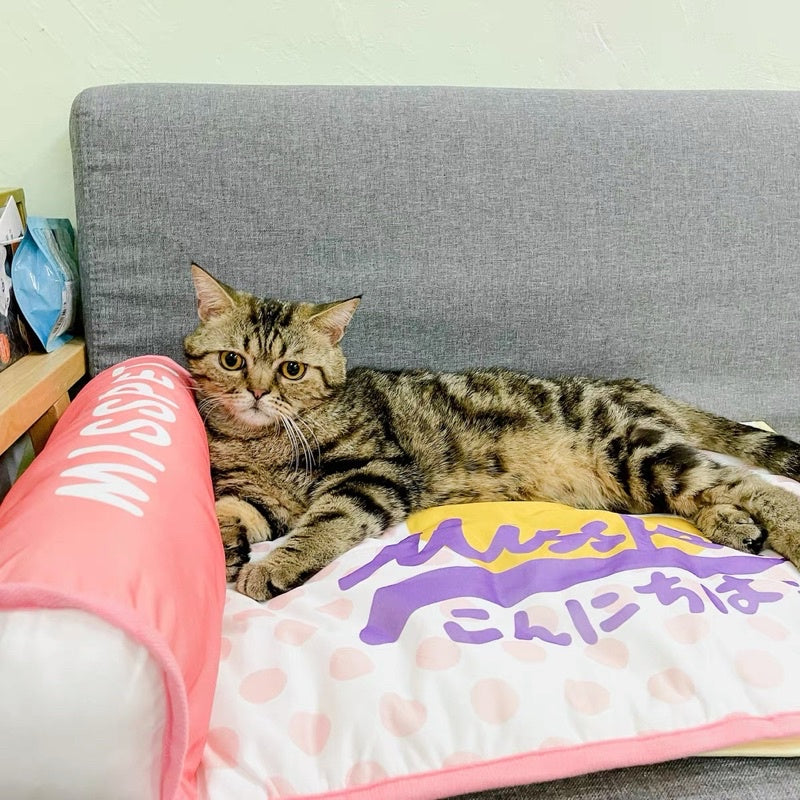 [SG stock] Misspet cat sleeping bed with pillow cooling pet nest