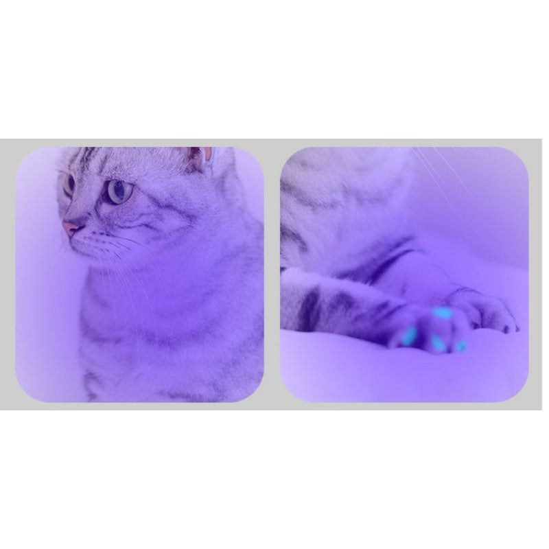 [SG stock] Wood's lamp cat ringworm detection pet fungus ultraviolet cat laser pen light wood
