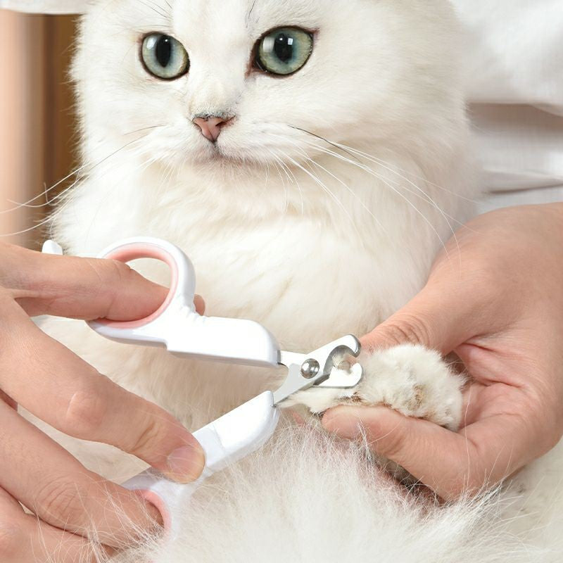 pakeway Pet nail clipper pliers tilted tip cat dog rabbit nail remover cutter gromming cleaning Ready Stock