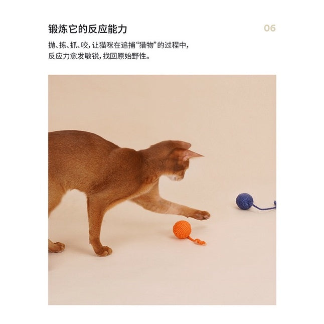 [SG Stock] Zeze cat sisal rope ball chaser pet toy multi color