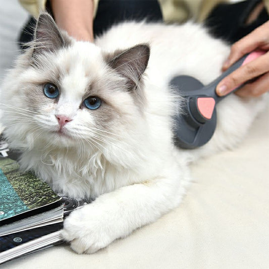 [SG Stock] Pakeway Pet gromming Brush cat dog Comb self clean hair remover