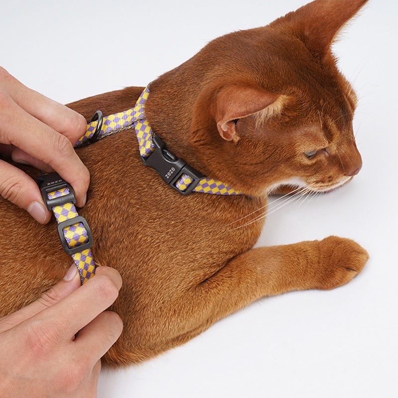 Zeze Pet leash rope cat dog H collar