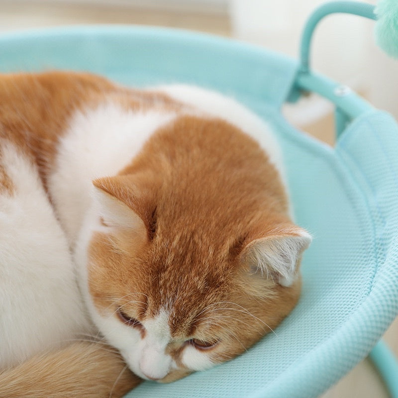 [SG Stock] Hoopet cat boss chair sofa caterpillar 🐛 hammock bed
