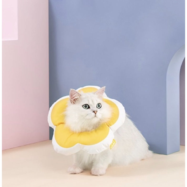 [SG Stock] Pet E collar Elizabeth cone water proof prevent licking surgery healing soft anti bite sunflower 🌻