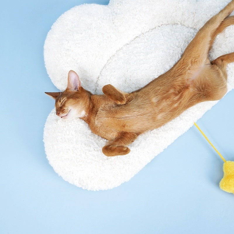 Zeze cloud ☁️ and star ⭐️ cat bed sleeping pad