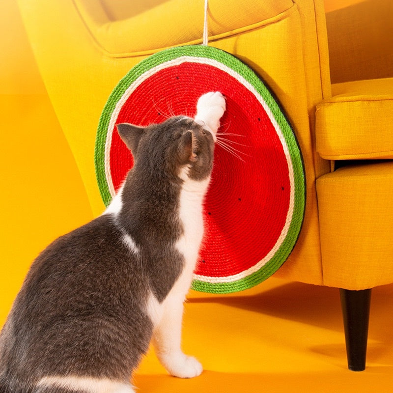 [SG stock] Cat scratch board carrot cactus sisal watermelon pet toy