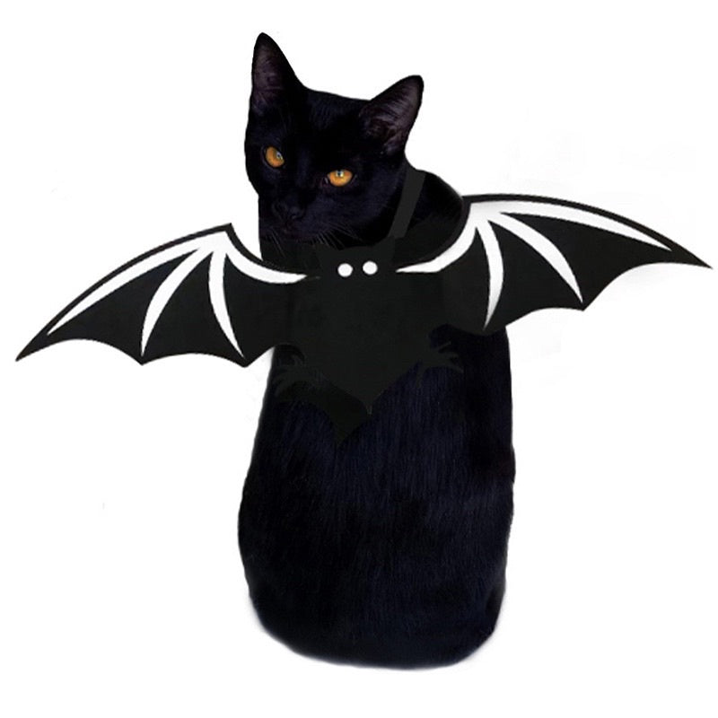 [SG Stock] Cat Dog Pet Halloween 🎃 costume 👻 bat wing vampire cute cloth