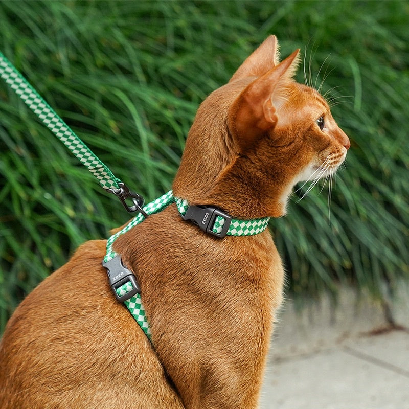 Zeze Pet leash rope cat dog H collar