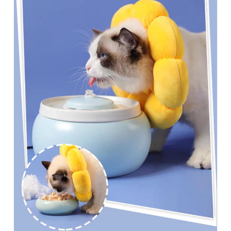 [SG] Pet Dog Cat Protective Collar Neck Anti-Bite Soft Anti-Scratch Elizabeth surgery cloth sunflower cone E collar