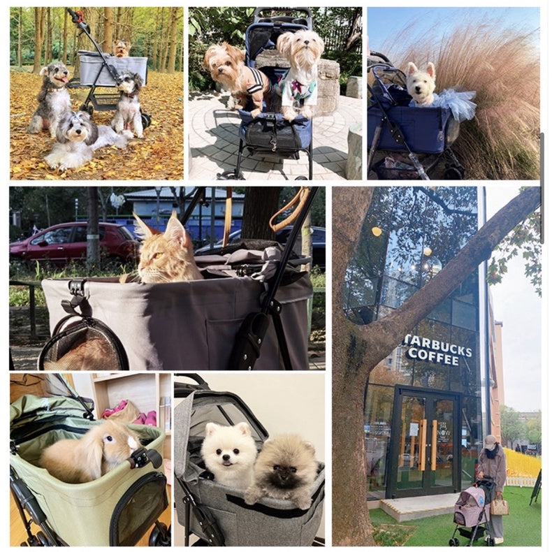 [SG Stock] Bello SP02F cat dog trolley stroller car carrier four wheel detachable pet bag