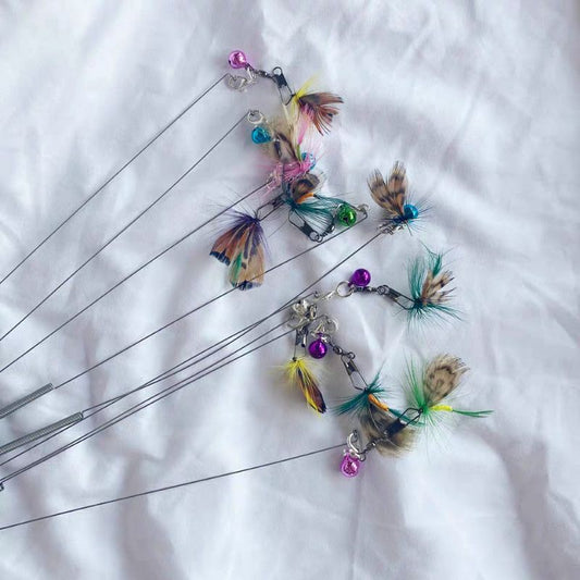 [SG] professional CFA cat teaser bug pet toy photo shooting ready stock