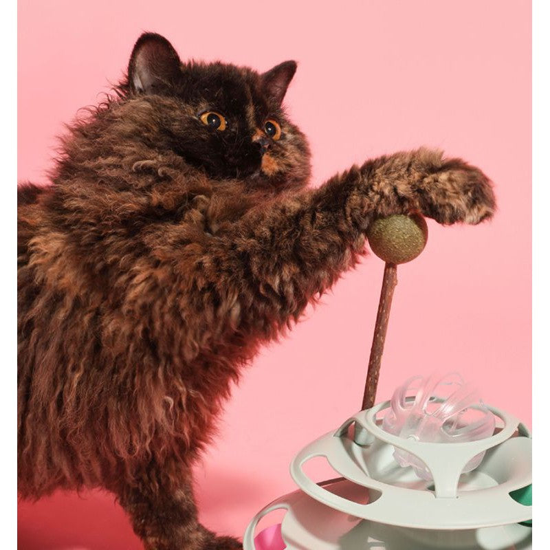 [SG Stock] Catnip lollipop cat candy snack pet food eatable toy teeth cleaner bar treat