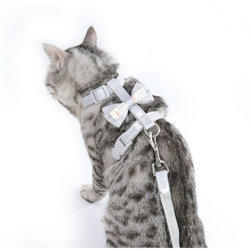[SG Stock] Pet Dog Cat Leash Rope Walking Running ready stock