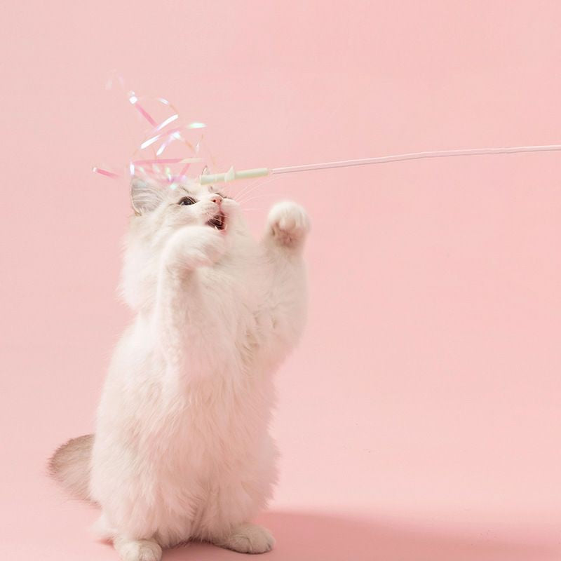 [SG] soft zoo cat teaser with feather fluffy ball and tassel muti-funtion replaceable