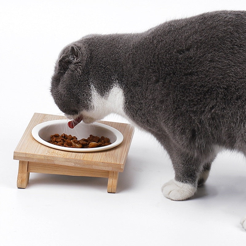 [SG Stock] Pet eating feeding bowl ceramic double bowl with wooden stand