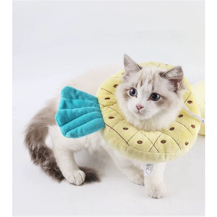 [SG Stock] Pet E collar Elizabeth cone soft fruit design cat dog anti licking collar