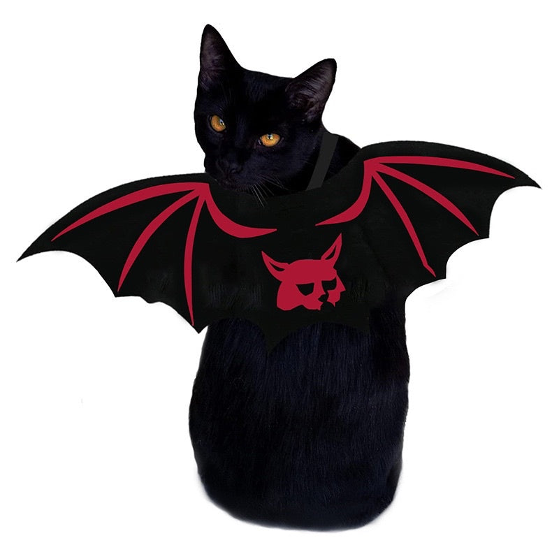 [SG Stock] Cat Dog Pet Halloween 🎃 costume 👻 bat wing vampire cute cloth