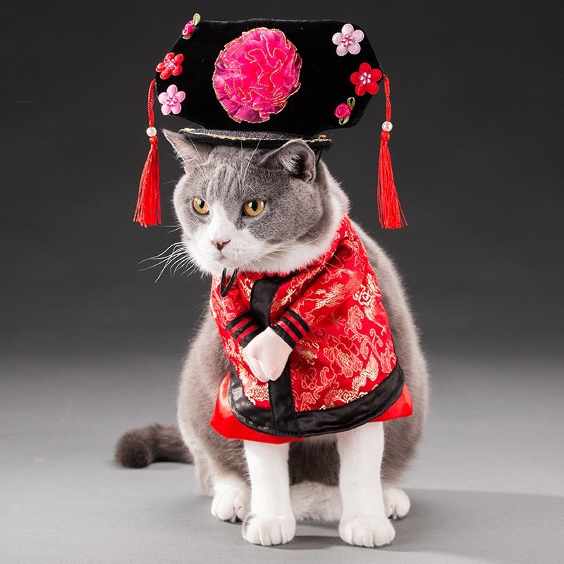 [SG Stock] Pet Halloween 👻 costume cat dog cute cloth photo shoots accessories