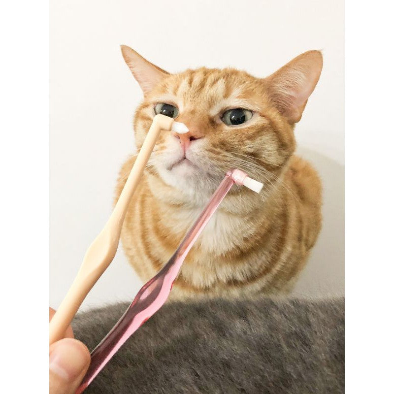 [SG Stock] Pet toothbrush for cat dog Pointy Ci Miclin soft brush hair