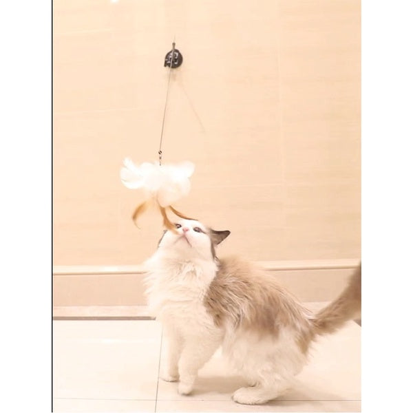 [SG Stock] Cat teaser with sucker on floor suction pad pet toy self play wand chaser