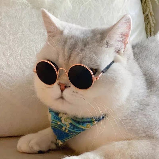 [SG Stock] Cat photo shooting props glasses 👓 fun toy