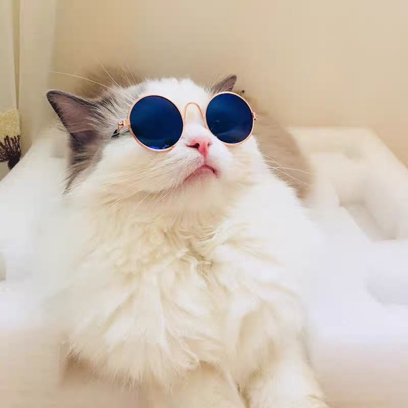 [SG Stock] Cat photo shooting props glasses 👓 fun toy
