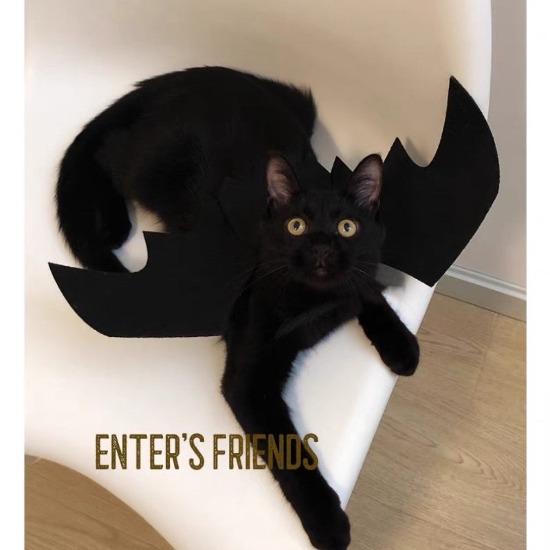 [SG Stock] Cat Dog Pet Halloween 🎃 costume 👻 bat wing vampire cute cloth