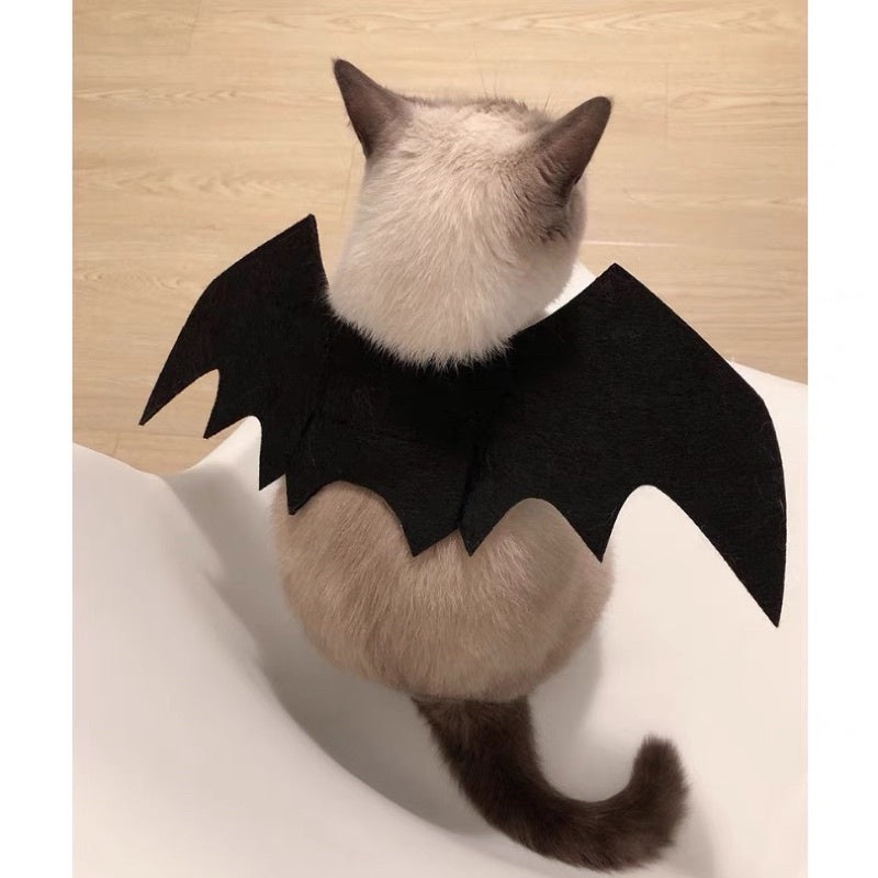 [SG Stock] Cat Dog Pet Halloween 🎃 costume 👻 bat wing vampire cute cloth