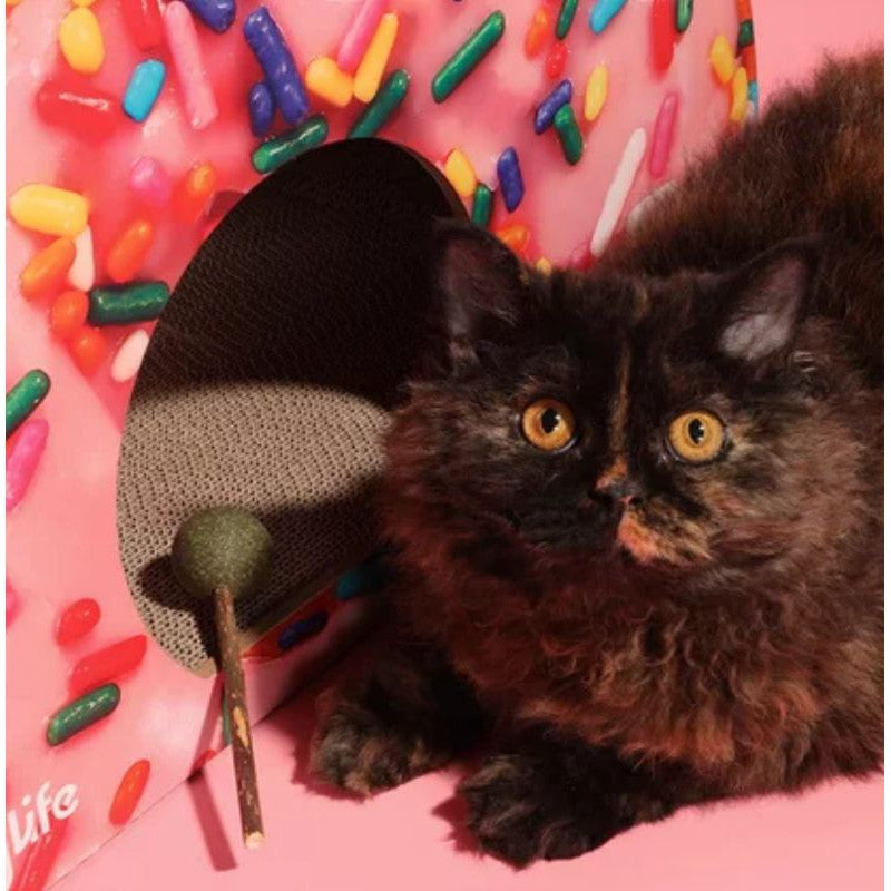 [SG Stock] Catnip lollipop cat candy snack pet food eatable toy teeth cleaner bar treat