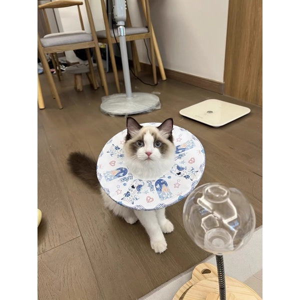 LumaMix light weight cat collar Elizabeth cone pet necklace