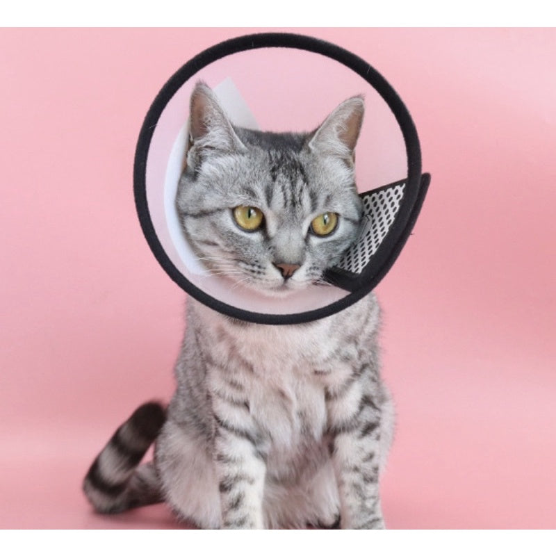 [SG] Pet collar surgery recovery E-collar Elizabete Plastic Ready Stock