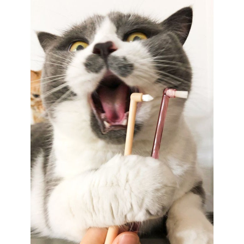 [SG Stock] Pet toothbrush for cat dog Pointy Ci Miclin soft brush hair