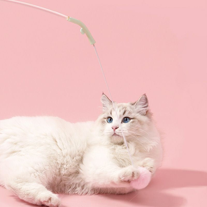 [SG] soft zoo cat teaser with feather fluffy ball and tassel muti-funtion replaceable