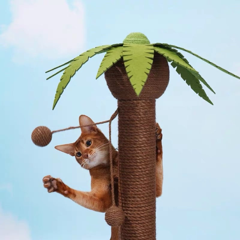 [sg stock] Zeze cat scratch coconut tree pet toy